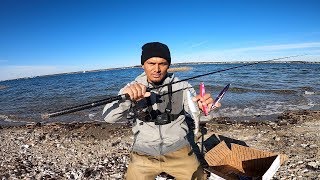 Como Iniciar en la pesca de playa equipo y tecnicas