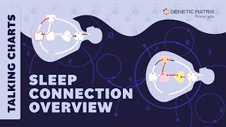 Human Design: Sleep Connection Overview