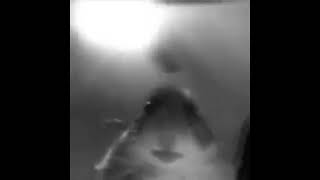 Hamster has war flashbacks (READ PINNED COMMENT)