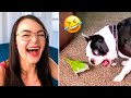 Funniest Cats And Dogs Videos 😸🐶  - Best Cute And Funny Animals 🥰