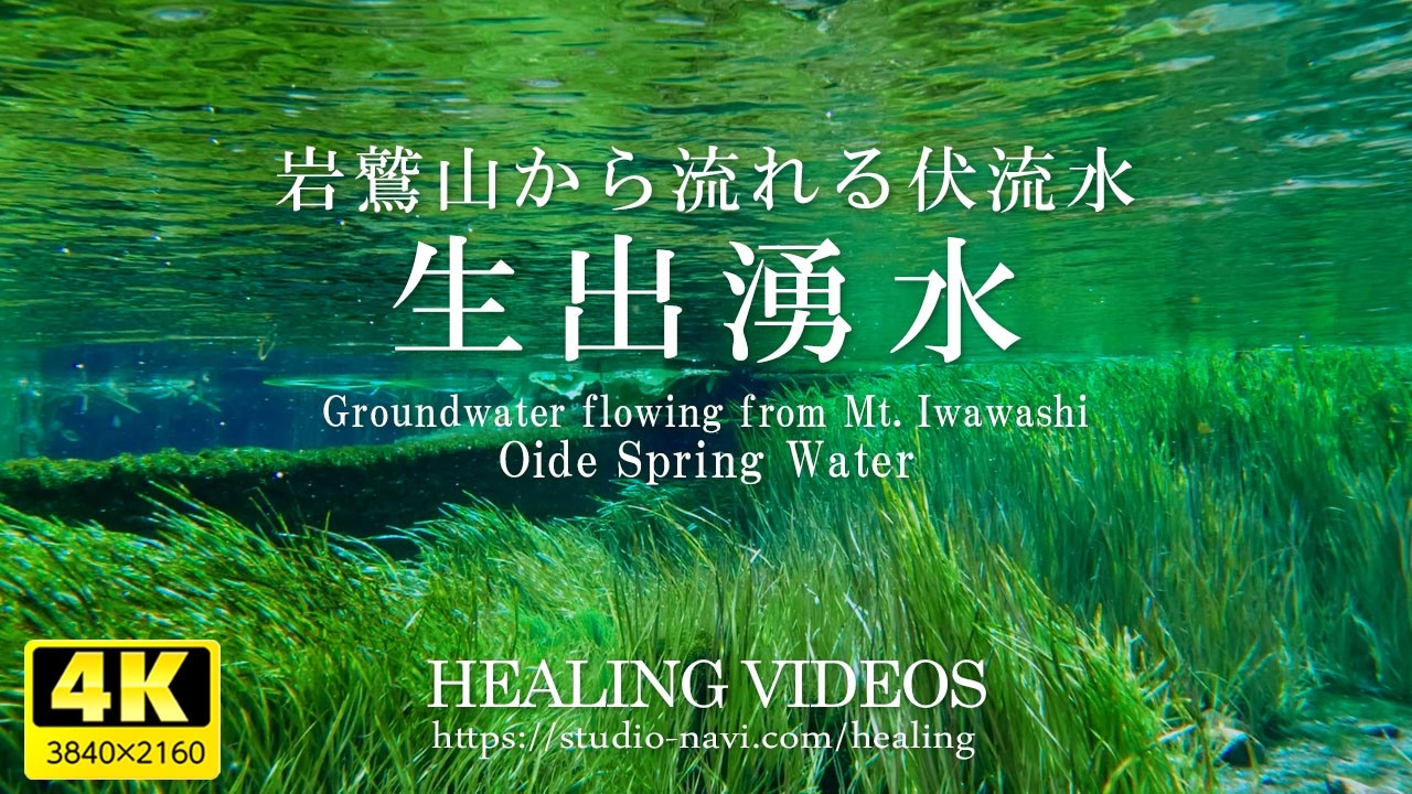 【癒し】冷たい湧水が涼しさを感じさせてくれます。／岩鷲山から流れる伏流水「生出湧水」／4K風景映像・実写　@nagomi935​