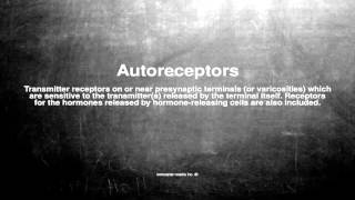 Medical vocabulary: What does Autoreceptors mean