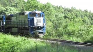 Trem L19 com dupla de ES43BBi e RUMO PN da Lurdinha