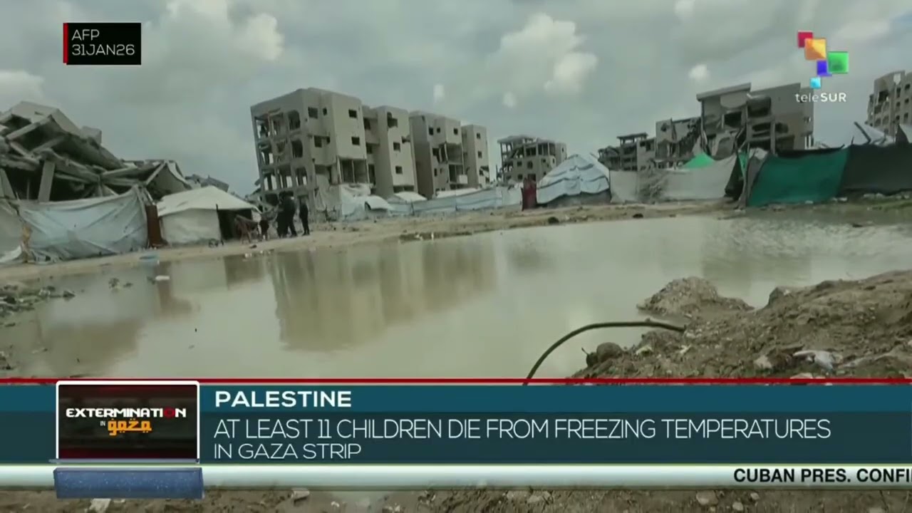 Palestine | At least 11 children die from freezing temperatures in Gaza Strip