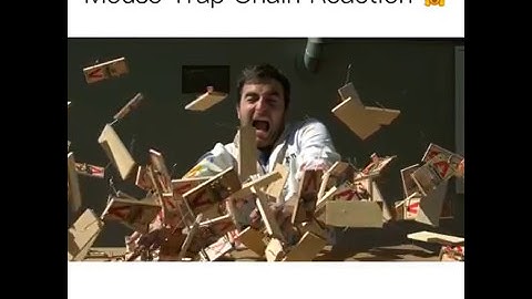 Mouse Trap Chain Reaction
