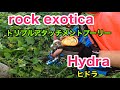 ロックエキゾチカRock exotica ヒドラ Hydra