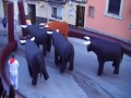 ENCIERRO DE TOROS EN JABALQUINTO (28/07/2017)