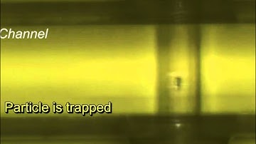 Dual-beam optical fiber trapping