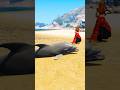 GTA V : DOGS TEACH US PURE LOVE 🥺| Part 982