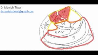 Free Fibula Flap Basics Part1