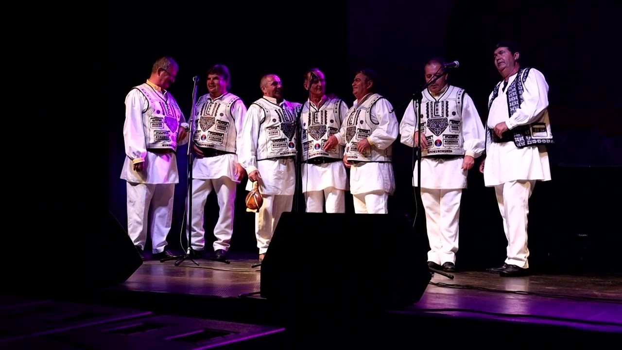 Zilele Ors. Vivtoria 2022. Recital 