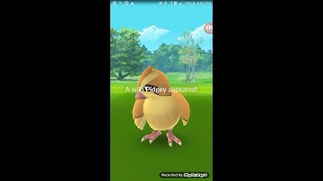 宝可梦go灵异事件