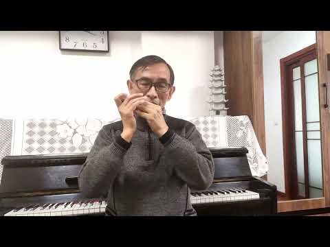 老郭吹口琴，《蓝色探戈》有激情，有品味，让人回味无穷……