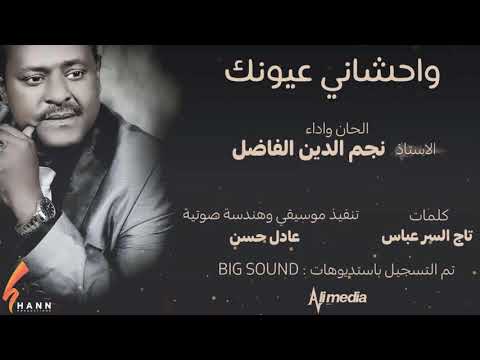نجم الدين الفاضل واحشاني عيونك  2019 اغاني سودانية 2019