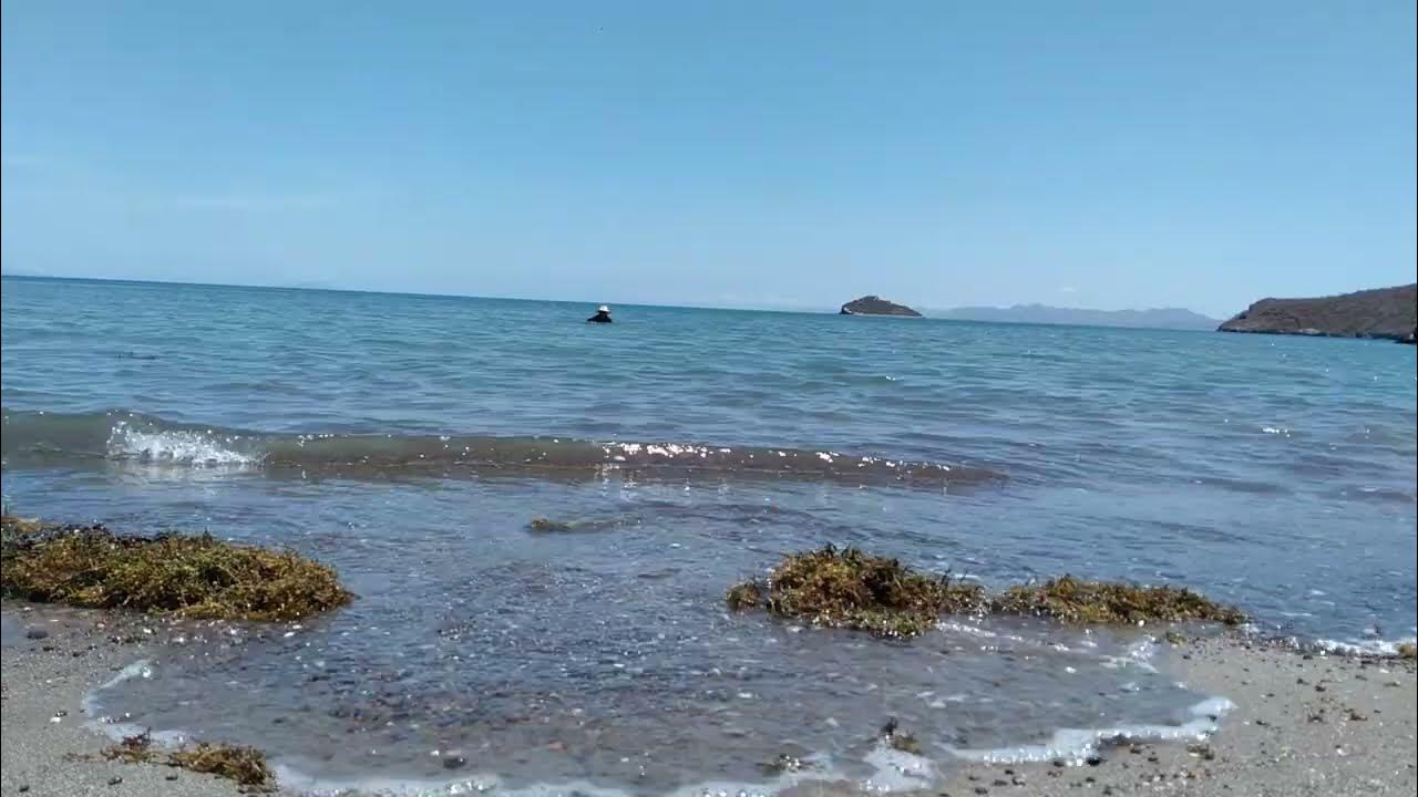 Playa el Juncalito B. C. S. YouTube