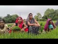 || kajari dehati kajari ||☺धान लगाते🌿 समय सुनाया 🎊बहुत ही प्यारा 🌺मजेदार गीत💥 कजरी गीत #वायरल