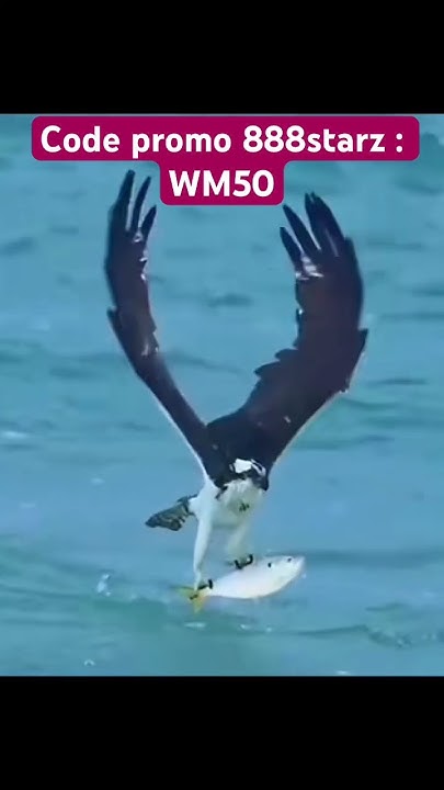 Code promo 888starz : WM50 - YouTube