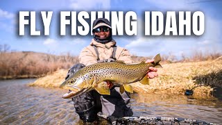 Spring Streamer Fishing in Idaho