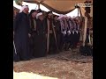 هيكالو بعلبكية ياسر الشمالي دبكة بعلبكية