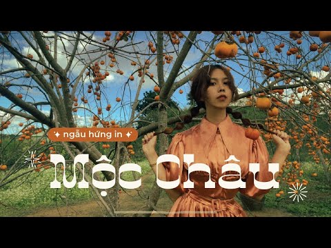 MỘC CHÂU ĐẦU MÙA ĐÔNG | Du lịch cuối tuần | Travel Vlog | Ngẫu Hứng 22