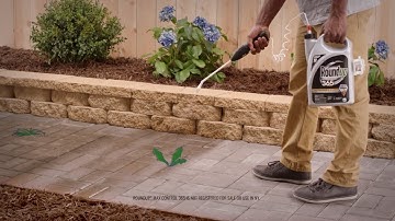 Jury awards man $289M in Roundup cancer lawsuit