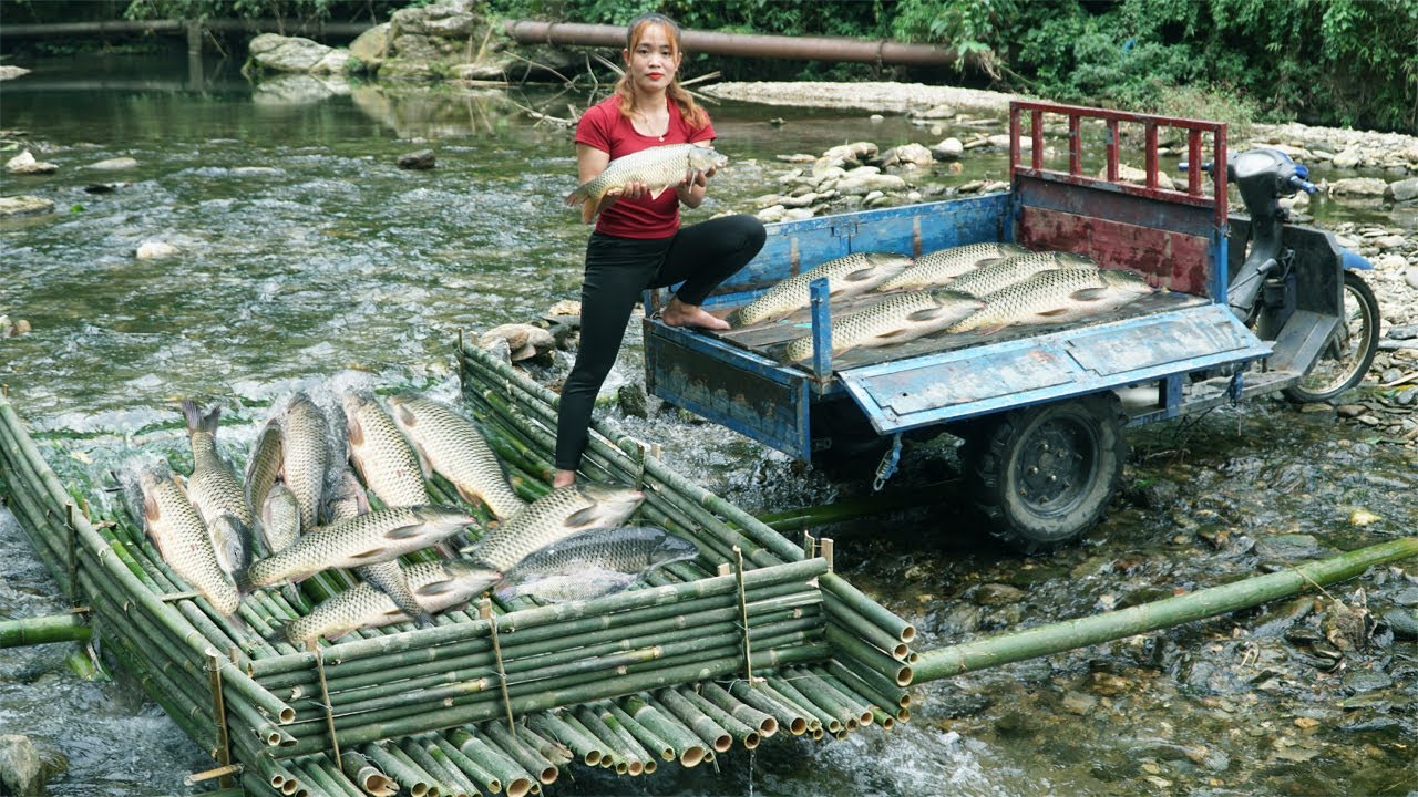 Girl Used Bamboo To Make A Trap To Catch Fish In The Stream ...