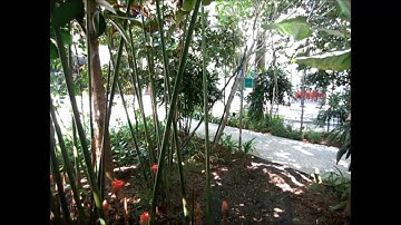 10.008 Engineering in the Physical World - 1D Project (Group 4) The Portable Charger