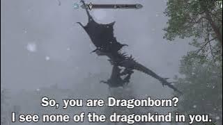 'What Did Alduin Said When You First Met Him???'