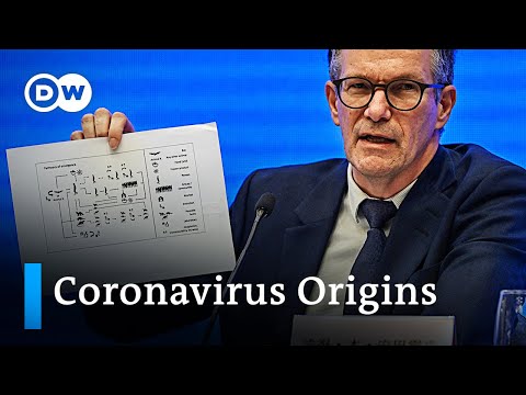 WHO presents first Wuhan coronavirus investigation results | DW News