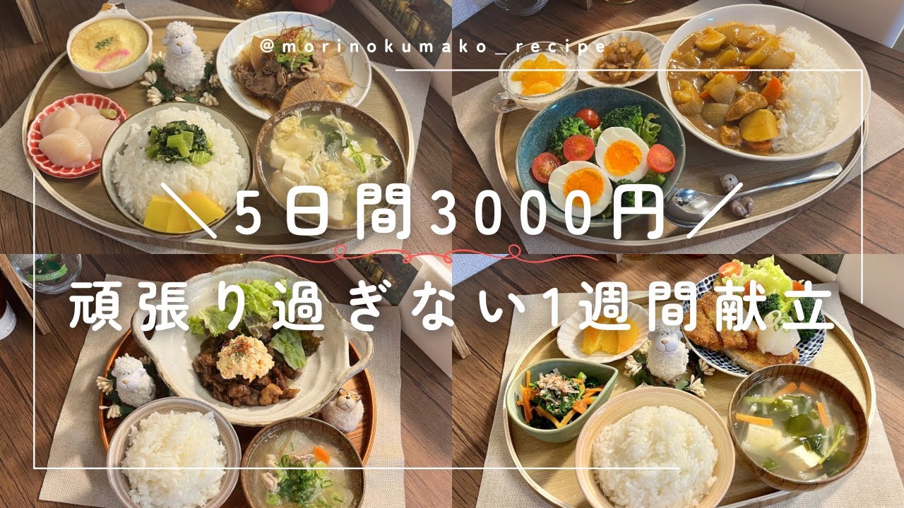 【二人暮らしの晩ごはん】節約レシピ|1日約500円|食費月1.5万円🍲豚こま大根｜チキンカレー｜おろポン酢とんかつ｜豚こまタルタル｜キンパ