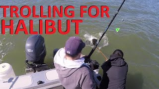 NET is too SMALL | March Halibut Fishing San Francisco Bay