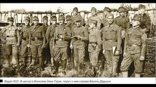 Video thumbnail of "Song of the Ukrainian Sich Riflemen - Oh meadow of red viburnum"