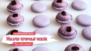 Рецепт начинки макарон черничный чизкейк I кондитер Ольга Шлычкова школа The Cake School