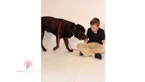 ADS Training Series - Video Modelling For Your Child