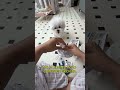 Exquisito oso de comparación qué comer al día