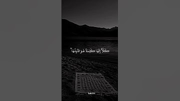 سورة المؤمنون بصوت الشيخ ماهر المعيقلي #قرآن #تلاوات خاشعة #حالت_واتس