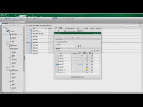 RPC Connect New Features: Batch Processor