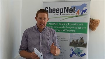 Irish testimony, Solution number 19. Interactive abortion App - Darren Carty