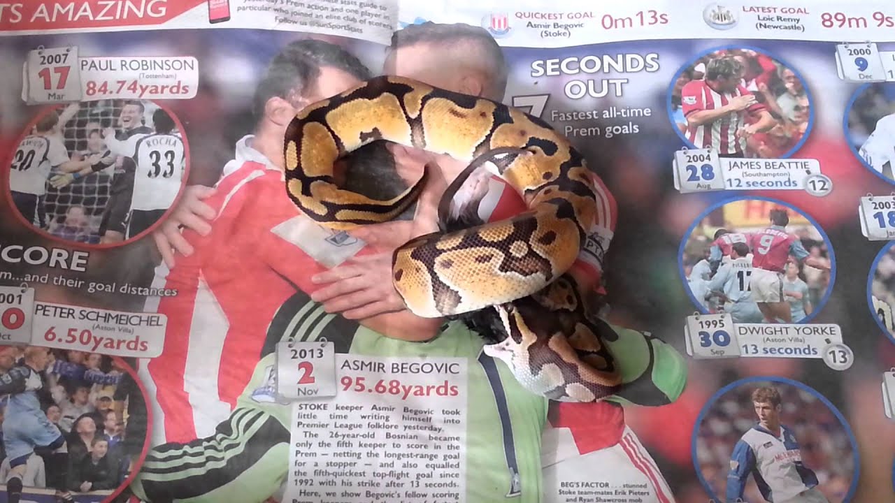 Enchi Python / feeding time / Shirley female #1 - YouTube
