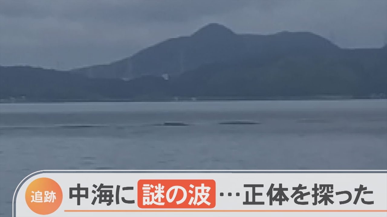 正体は？中海にゆっくり移動する謎の波…まさか巨大生物？