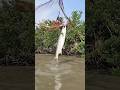 castnet fishing in the river #viralvideo #chatcingbigfish#shortvideo