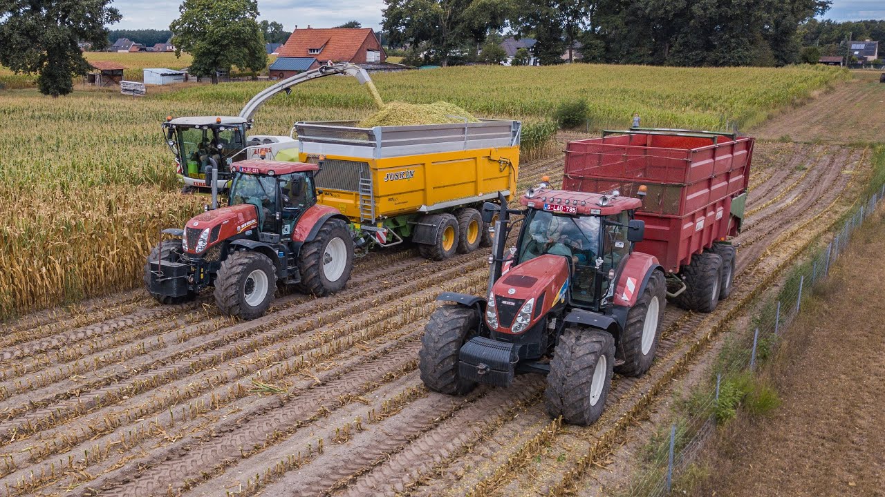 Loonbedrijf Vanbuel mais hakselen | New Holland T7030 T7.270 T7.275HD | Claas Jaguar 860