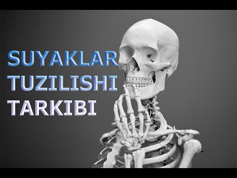 Video: Suyak o'sishi va mustahkamligi uchun sog'lom ovqatlar