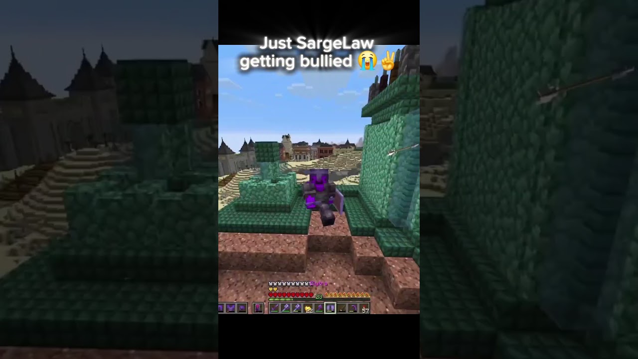 SargeLaw was bullied too much 