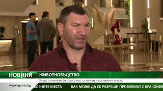 ЖИВОТНОВЪДСТВО: Защо големите ферми у нас са извън населените места