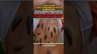 THE EFFECT THAT ACTUALLY HURT — Anaconda 2 #shorts