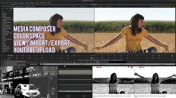 MEDIA COMPOSER | COLOR SPACE VIEW/IMPORT/EXPORT AND HOW IT IMPACTS YOUTUBE