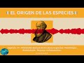 El Origen de las Especies | Capítulo 14 | Charles Darwin | Audiolibro