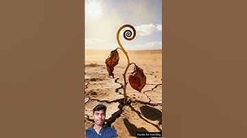 Zebra watered an orange tree and saved it from drying up.😭#ai #tree #save #zebra​