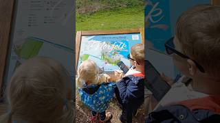 Norfolk mini vlog part 4, Hickling Broad #birdwatching #norfolk #norfolkbroads